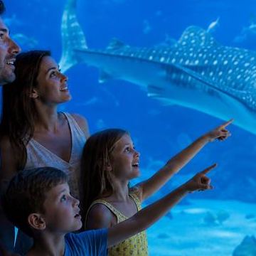Family Aquarium Visit